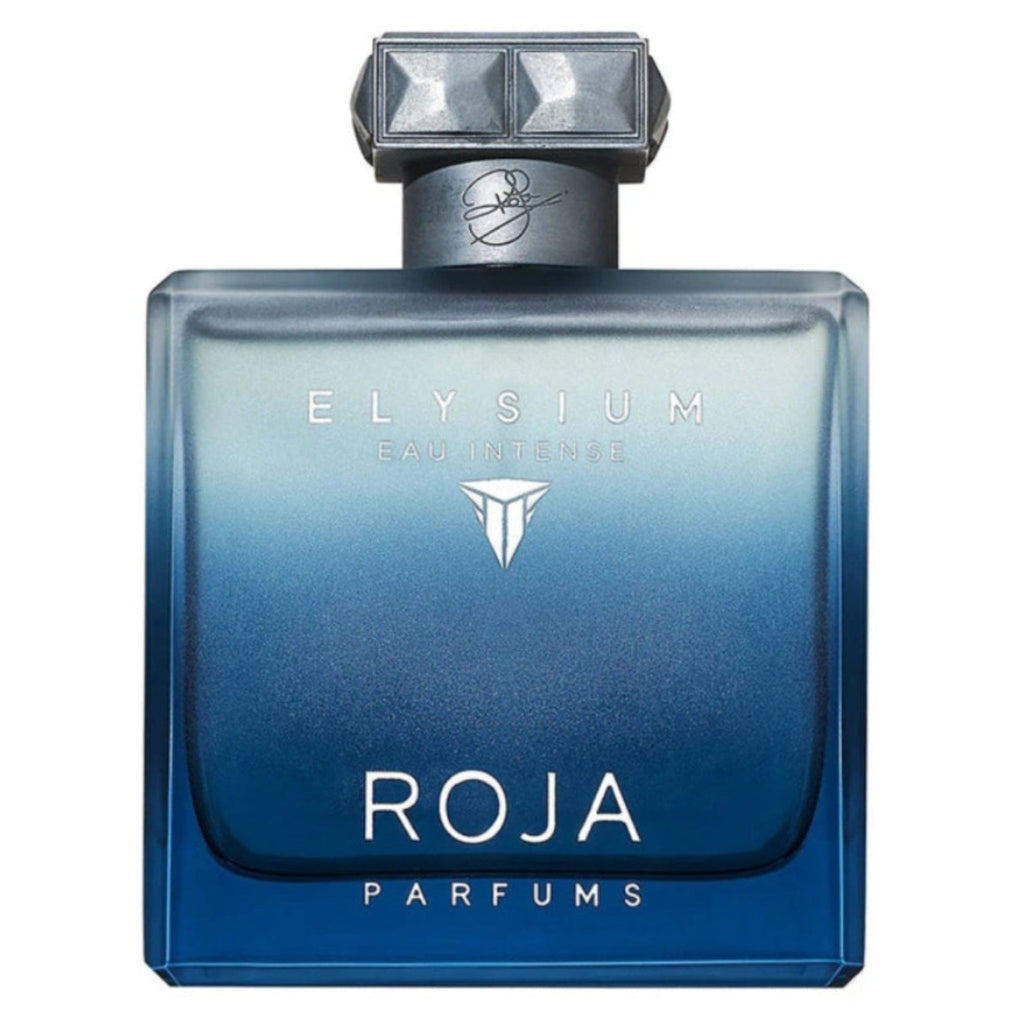 Roja Elysium Intense 3.4oz Men EDP Spray — 1