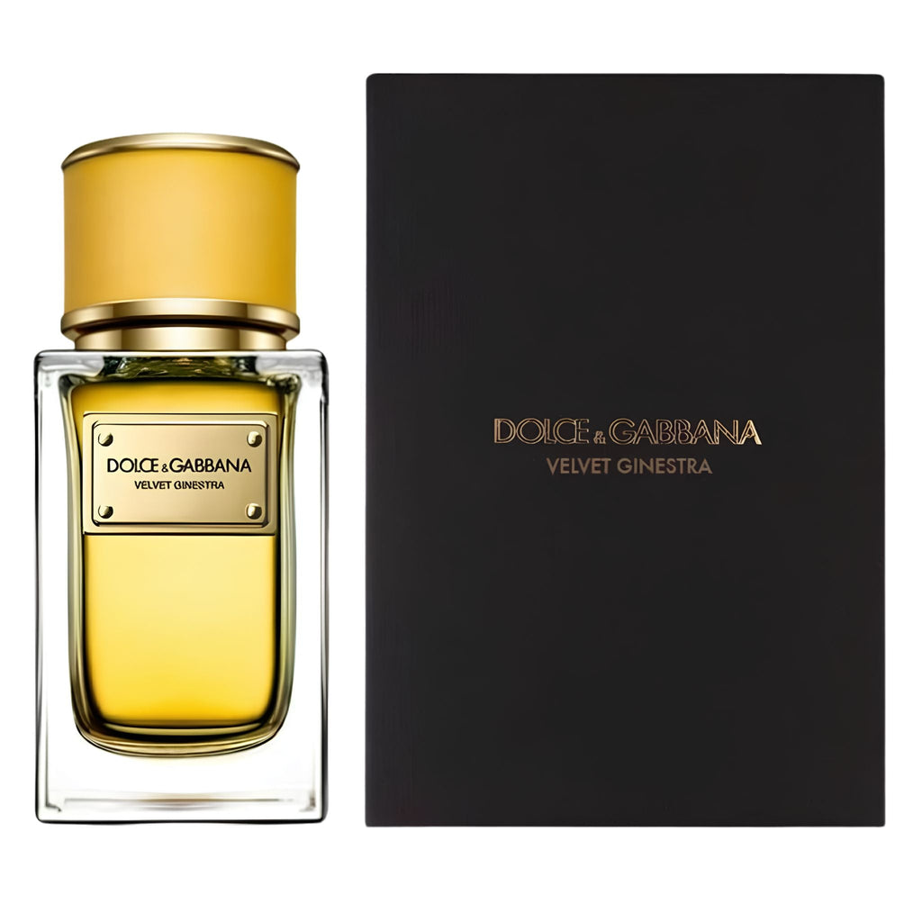 Dolce & Gabbana Velvet Ginestra 5.0oz Women EDP Spray — 1