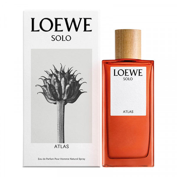 Loewe Solo Atlas 3.4oz Men EDP Spray — 1