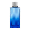 Abercrombie & Fitch First Instinct Together Him 3.4 Oz Edt — 1