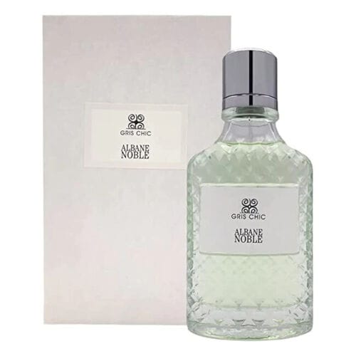 Albane Noble Gris Chic Men's Perfume/Cologne For Men Eau de Parfum 3.4 Oz Edp — 2