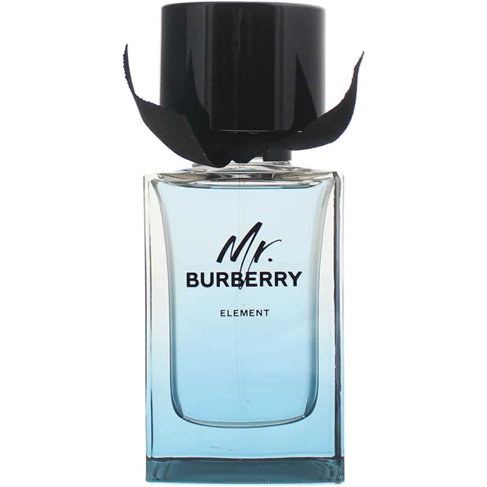 Burberry Mr. Burberry Element — 1