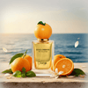 Dolce Gabbana Orange — 2