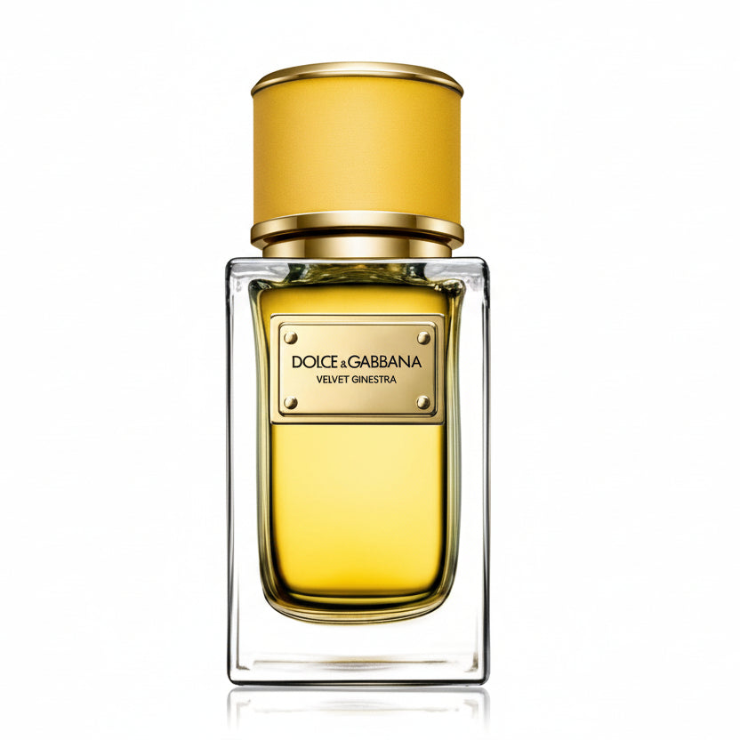 Dolce Gabbana Velvet Ginestra — 1