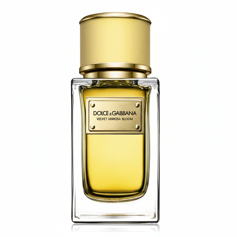 Dolce Gabbana Velvet Mimosa Bloom — 1