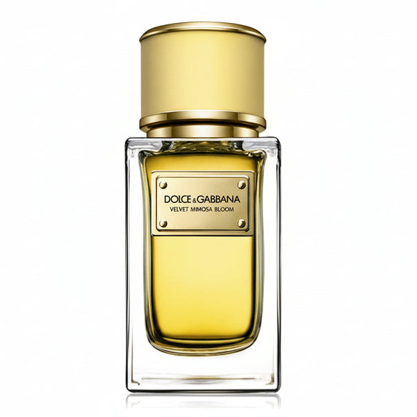 Dolce Gabbana Velvet Mimosa Bloom — 1