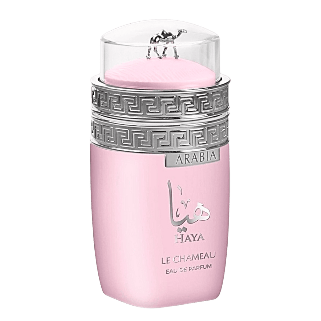 Le Chameau Haya — 1