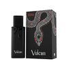 French Avenue Vulcan Black Friday — 3