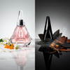 Givenchy Ange Ou Demon Le Parfum & Accord Illicite — 2
