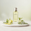 Hermès Le Jardin de Monsieur Li — 2