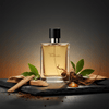 Hermes Terre D'Hermes For Men Eau De Toilette — 2