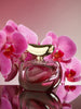 Vince Camuto Illumi Intensa 3.4o — 2