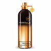 Montale Amber Musk — 1