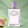 PRADA Infusion de Figue Eau de Parfum — 3