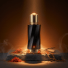 Versace Atelier Santal Boise — 2