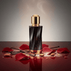 Versace Atelier Vanille Rouge — 2