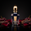 Xerjoff More Than Words Eau de Parfum — 2