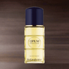 Yves Saint Laurent Opium — 3